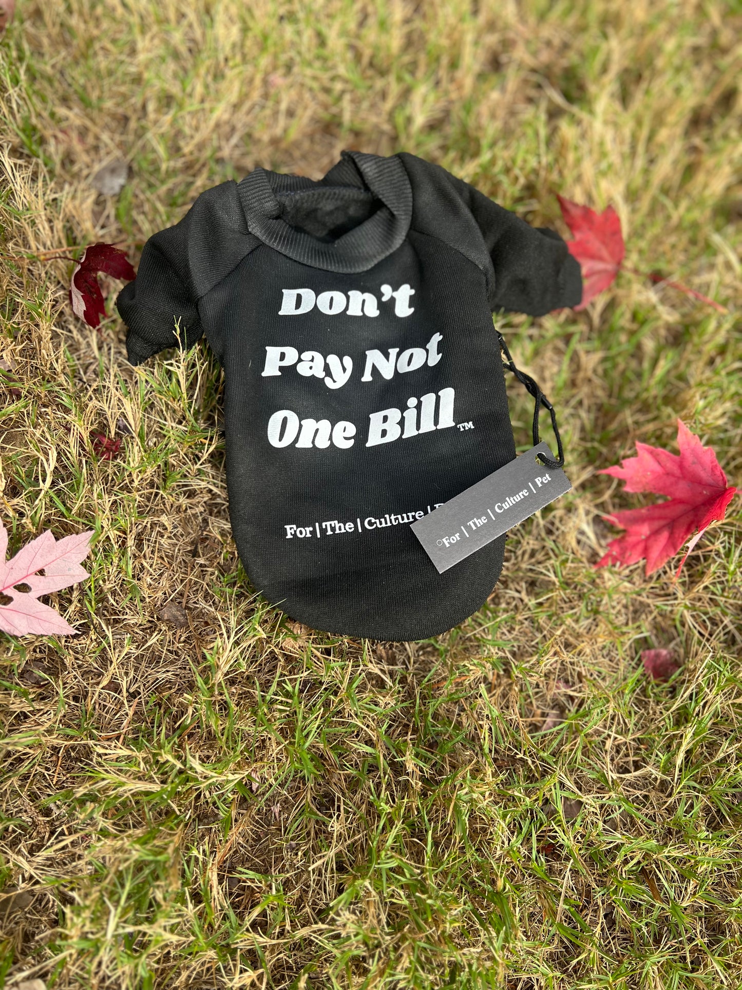 Don’t Pay Not One Bill Sweatshirt