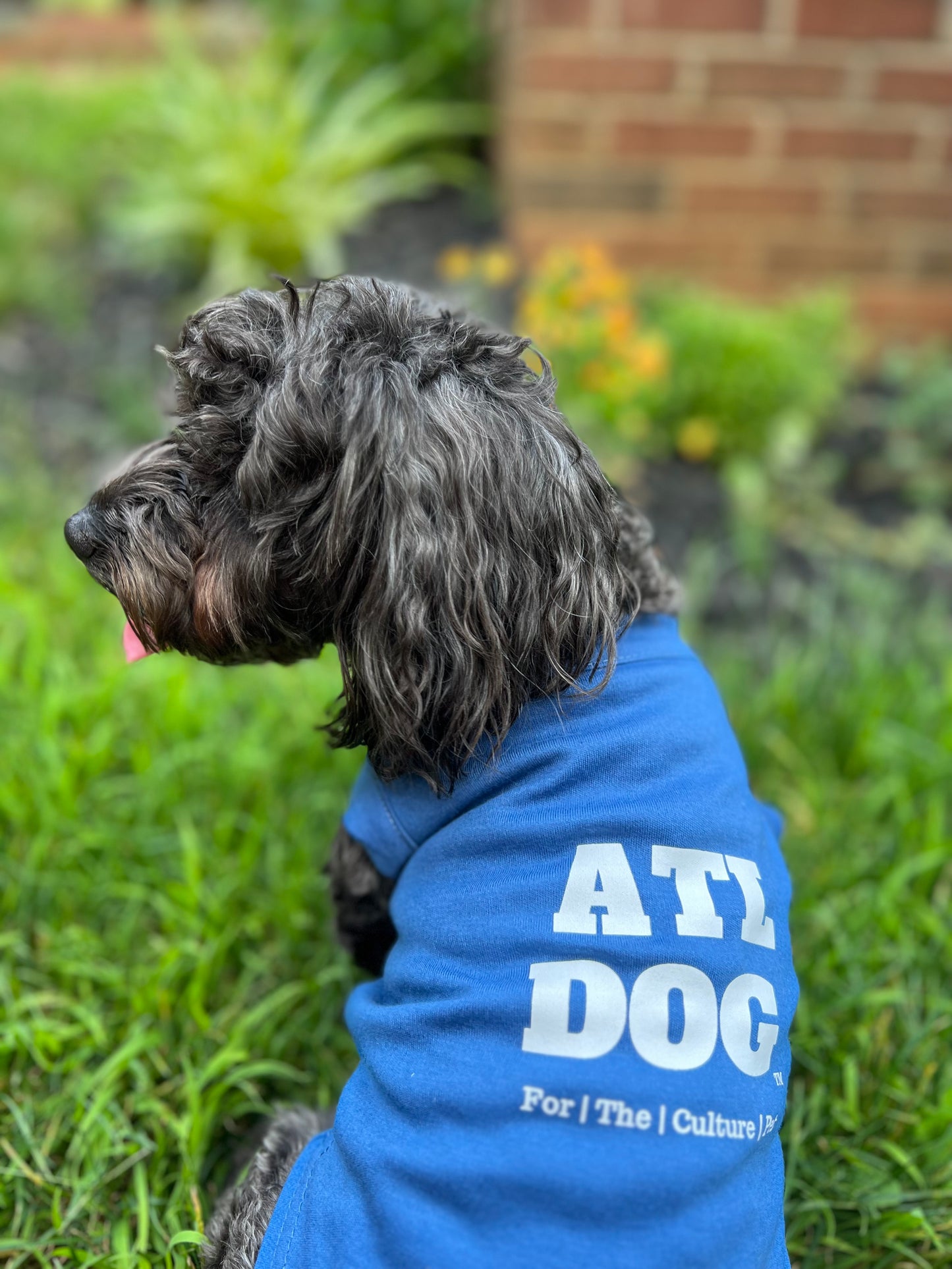 ATL Dog Pet Tee