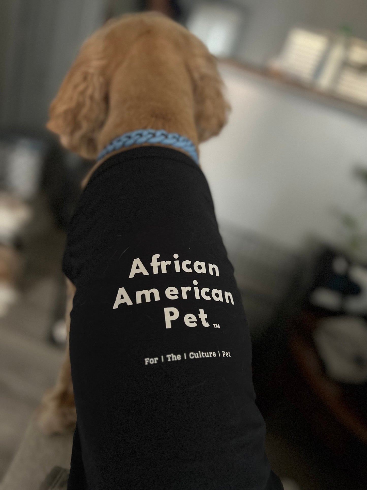 African American Pet Sweatshirt