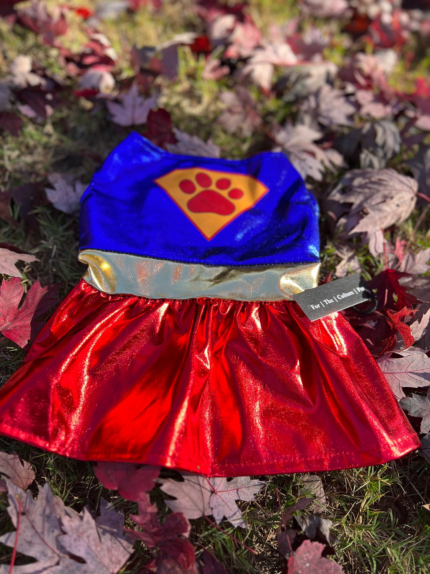 Super Girl Halloween Costume