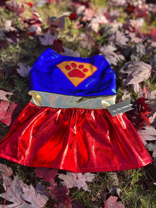 Super Girl Halloween Costume