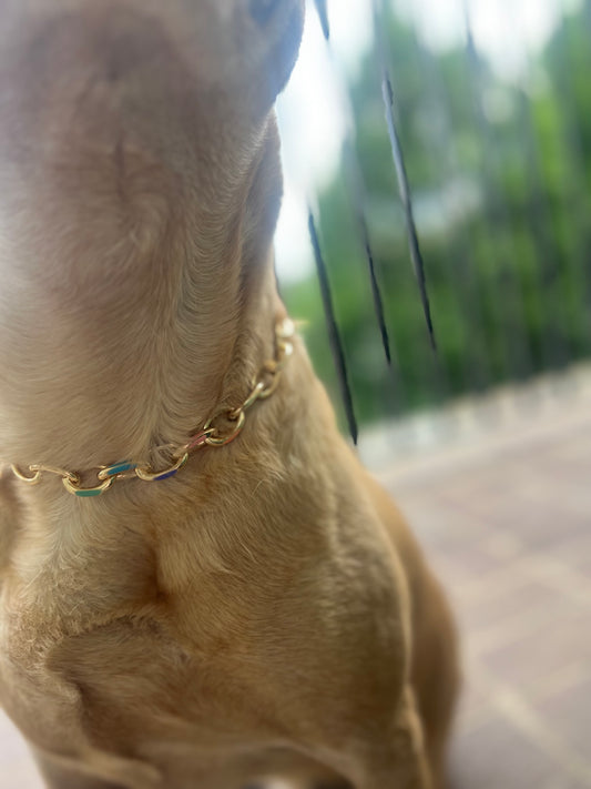 Multi-Color Cuban Pet Necklace Collar