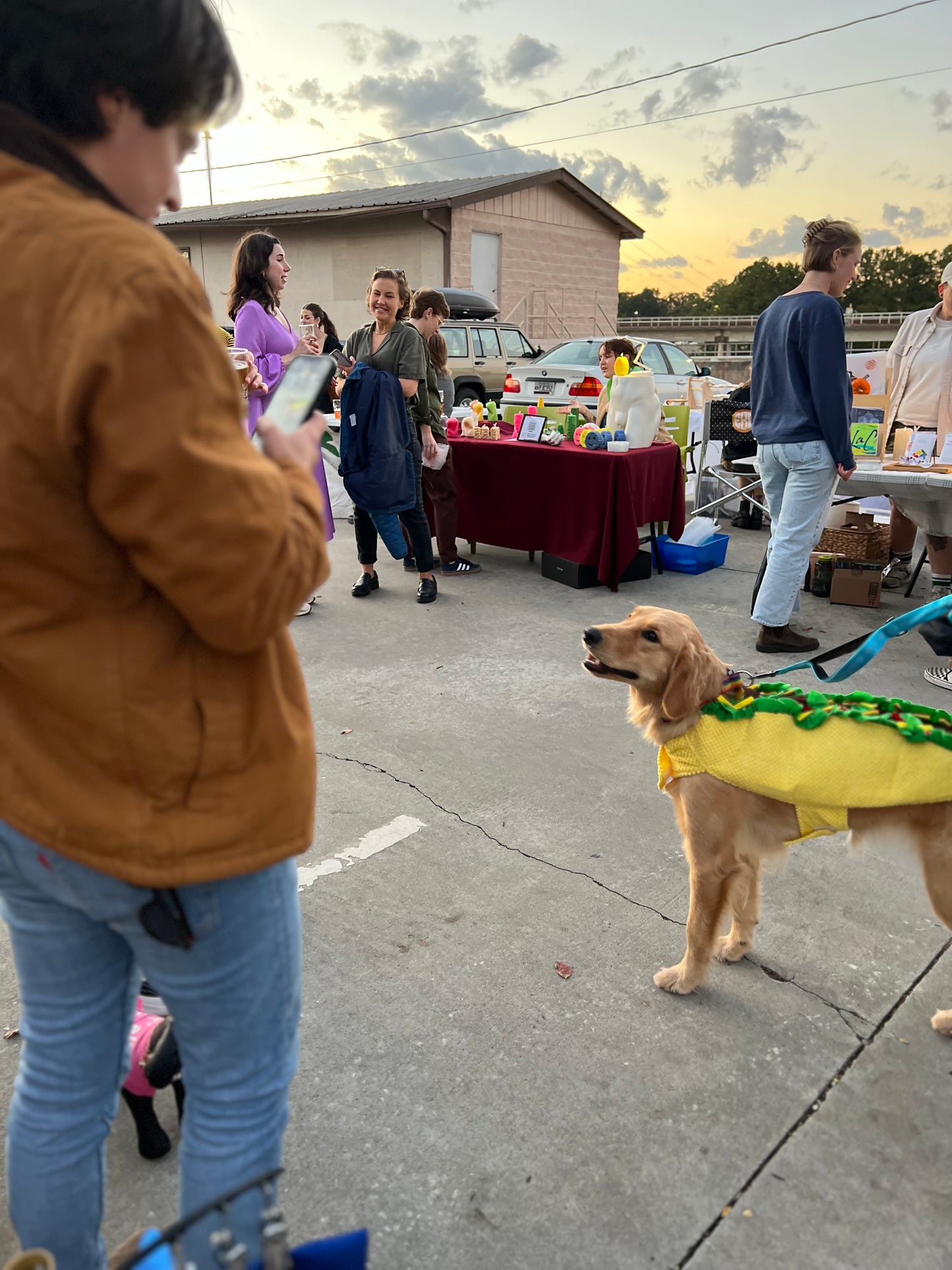 Dog Taco Costume