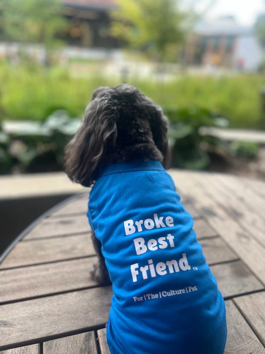 Broke Best Friend Tee