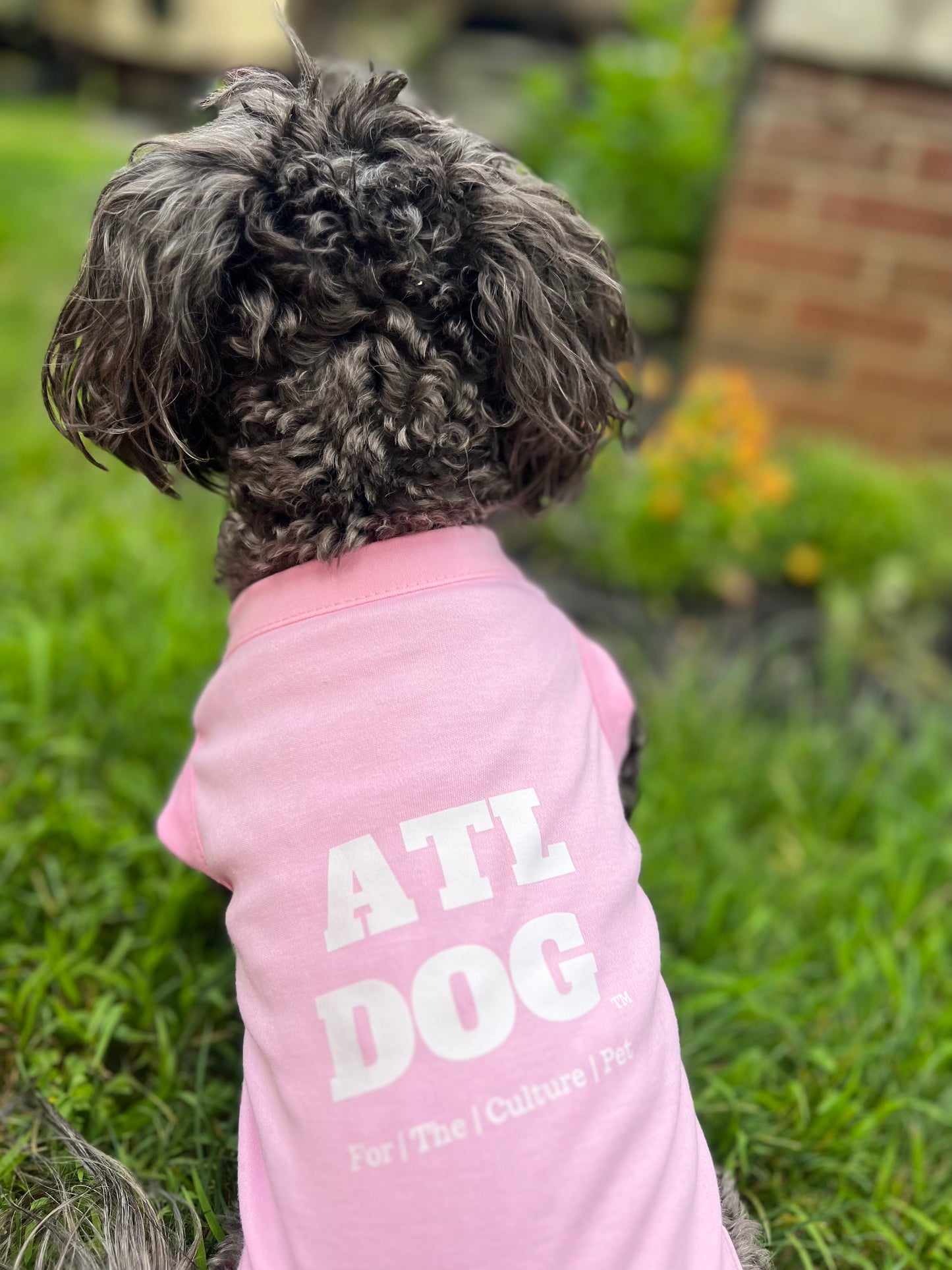 ATL Dog Pet Tee