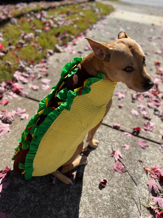 Dog Taco Costume