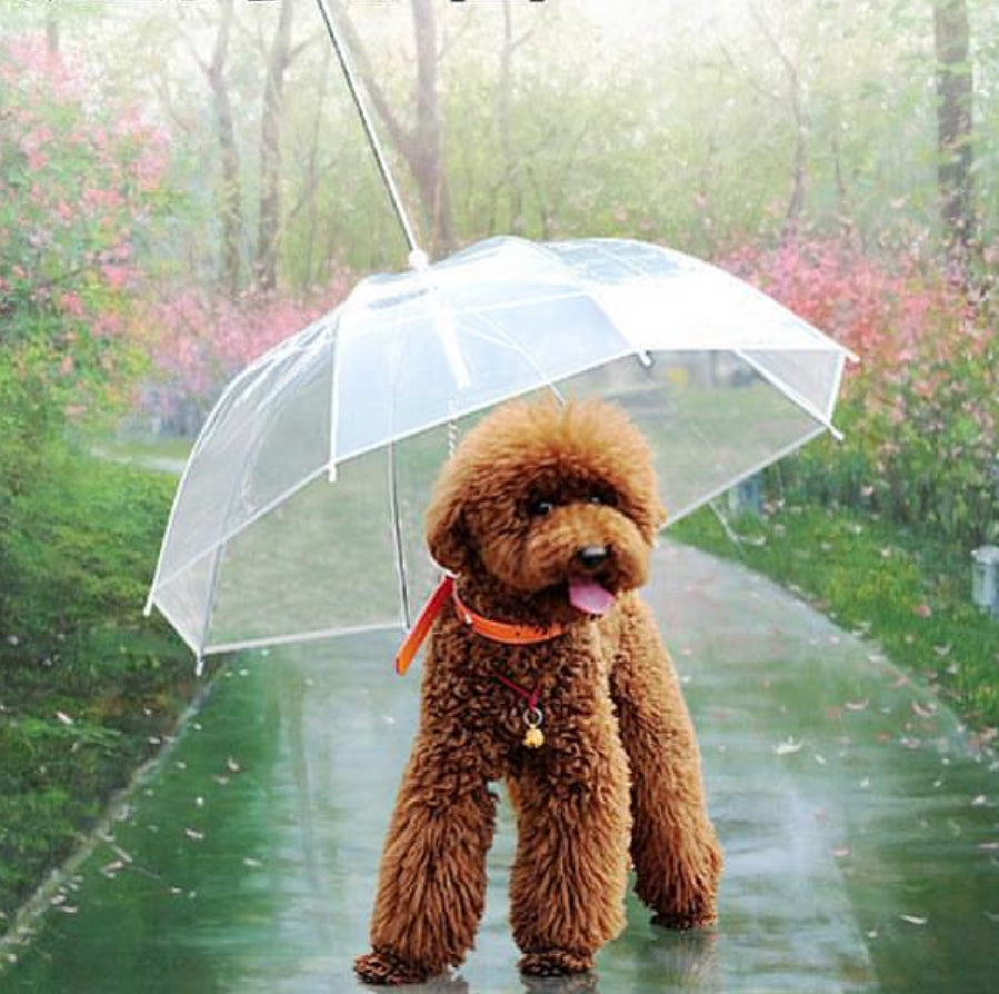 Pet Umbrella