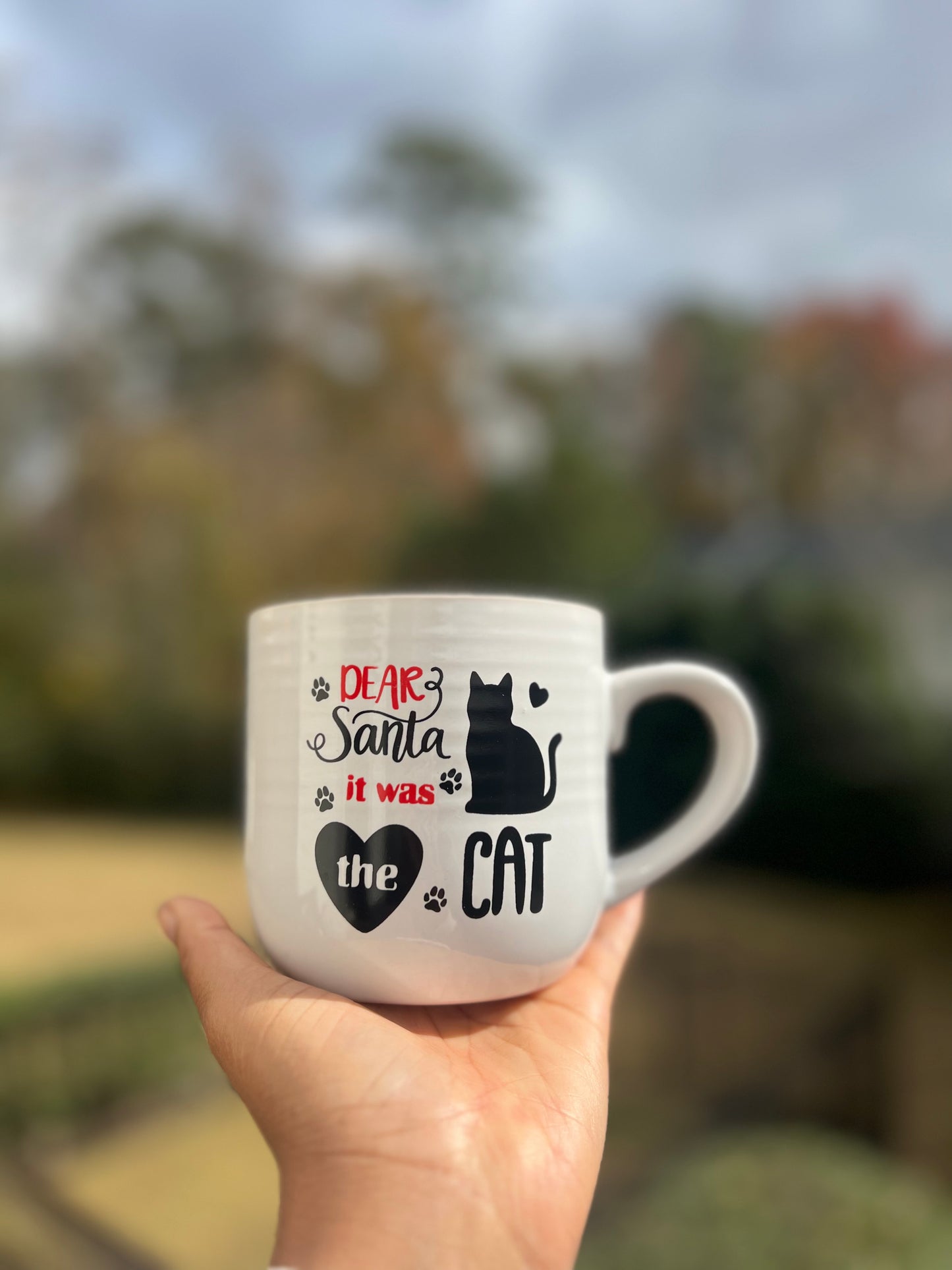 Dear Santa Christmas Mug: Cat