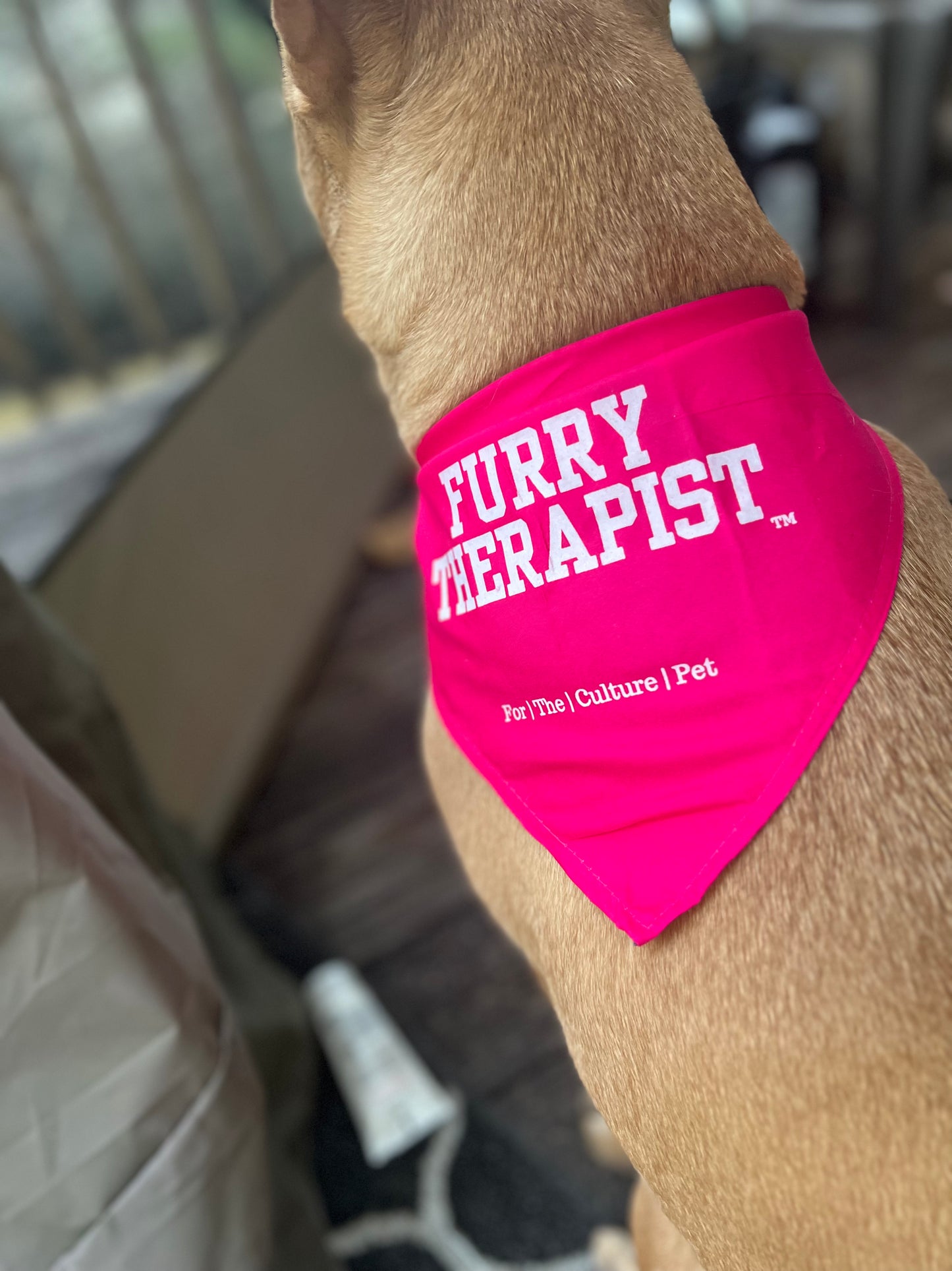 Furry Therapist Bandanna