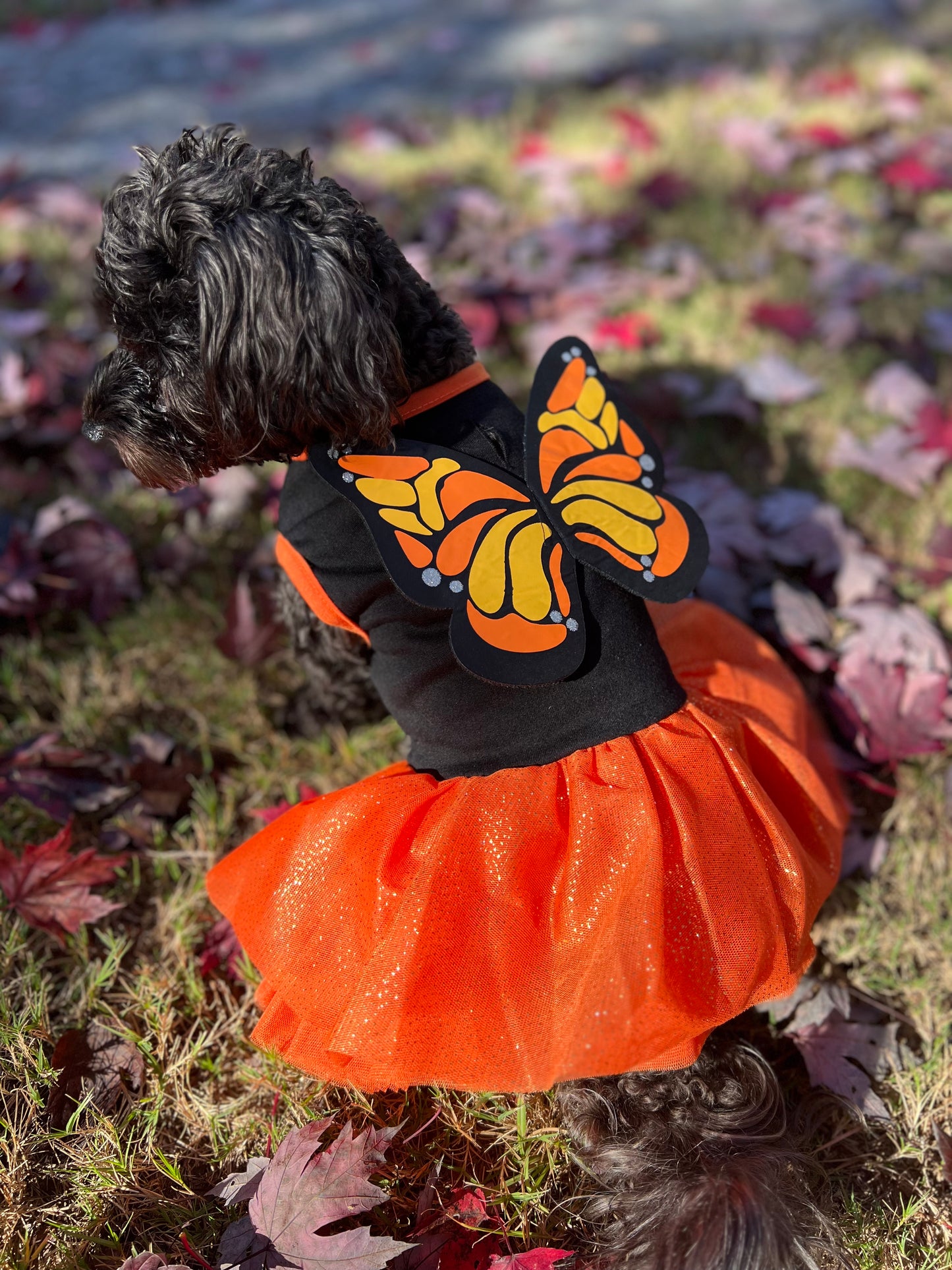 Halloween Butterfly Dress