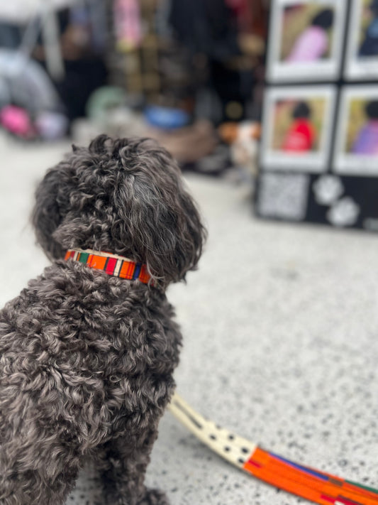 Ankara Collar & Leash Set