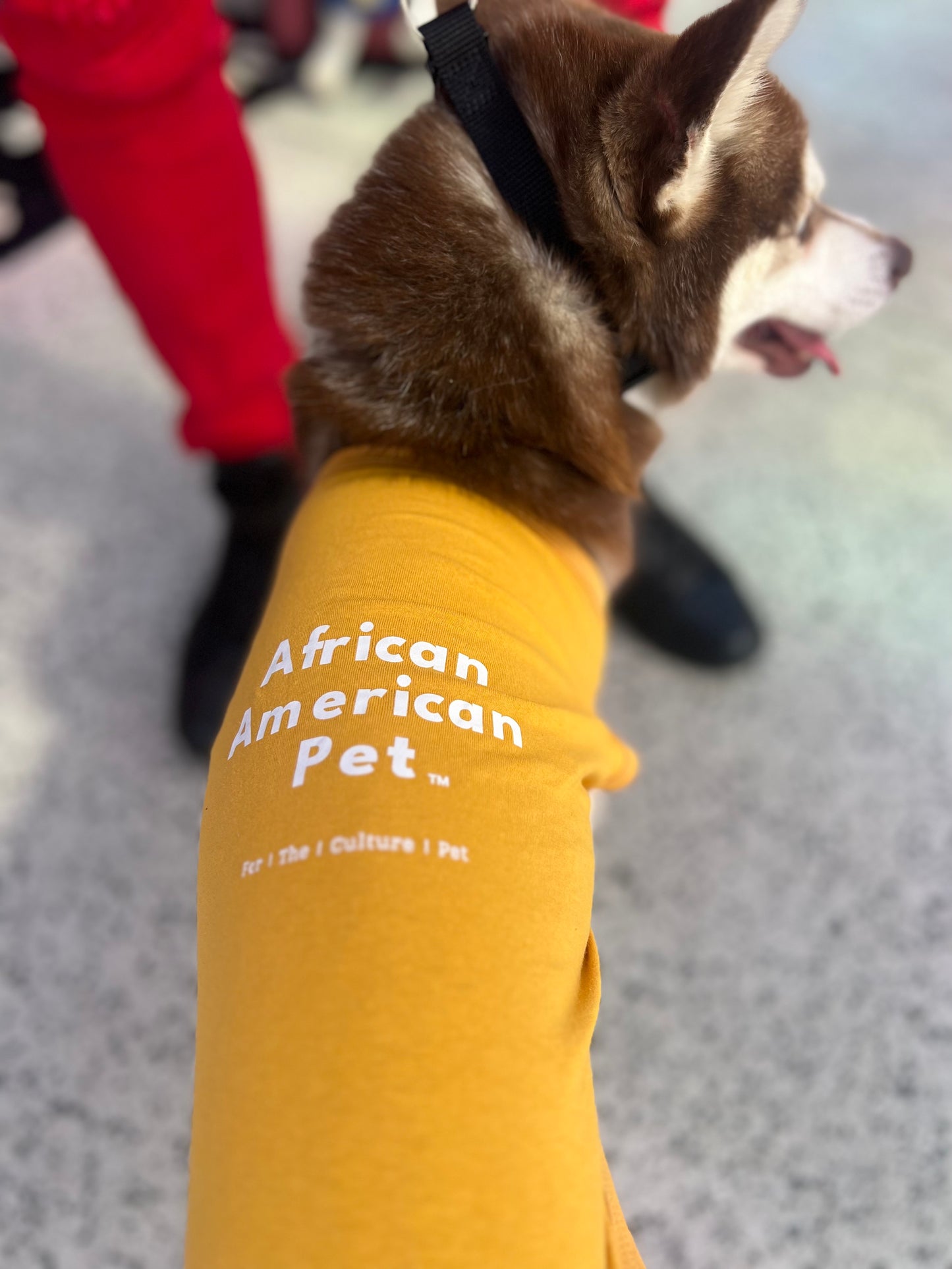 African American Pet Sweatshirt