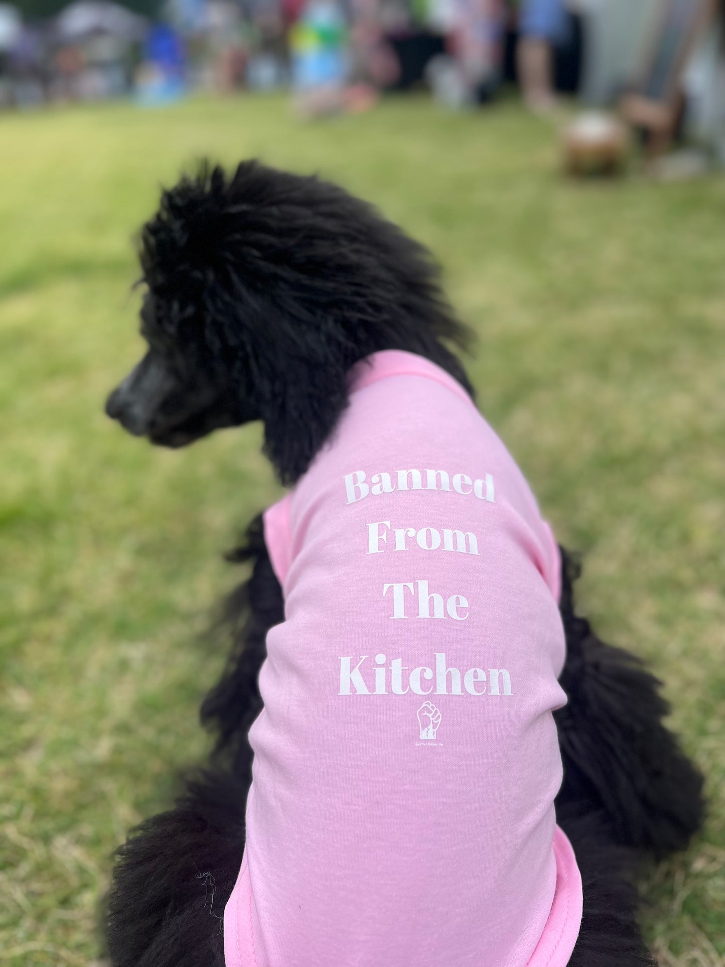 Banned From the Kitchen T-Shirt