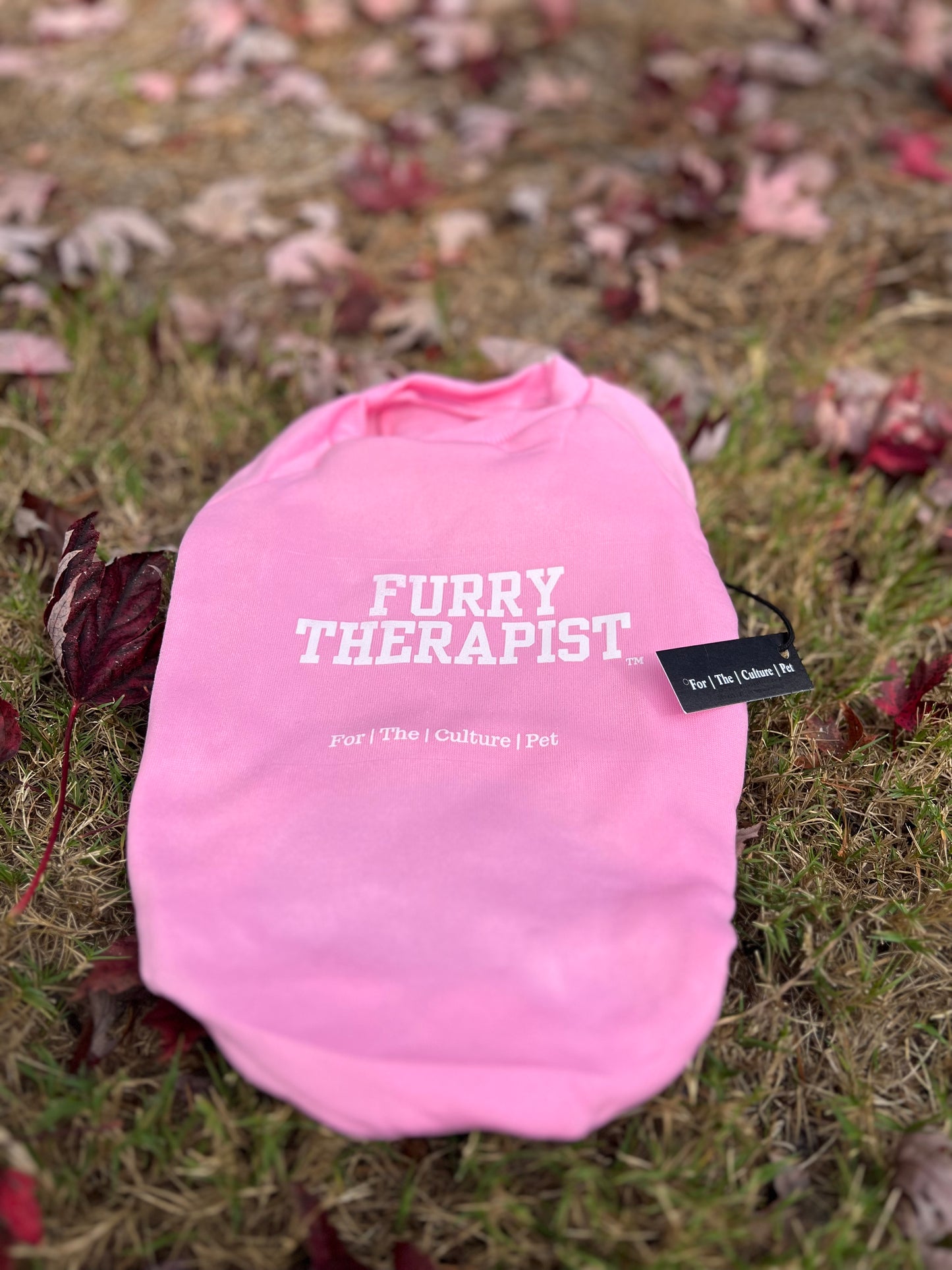Furry Therapist Sweatshirt