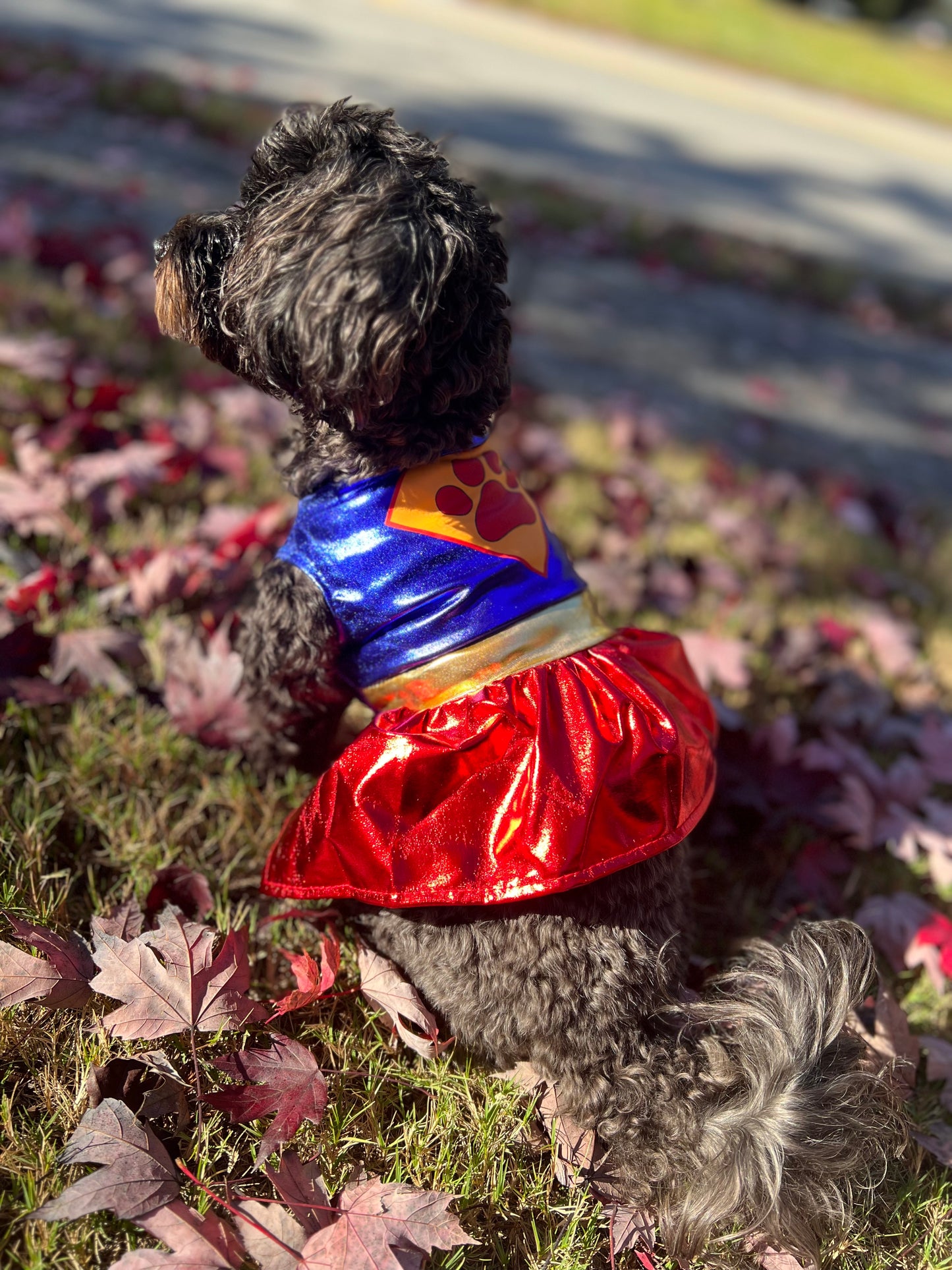 Super Girl Halloween Costume