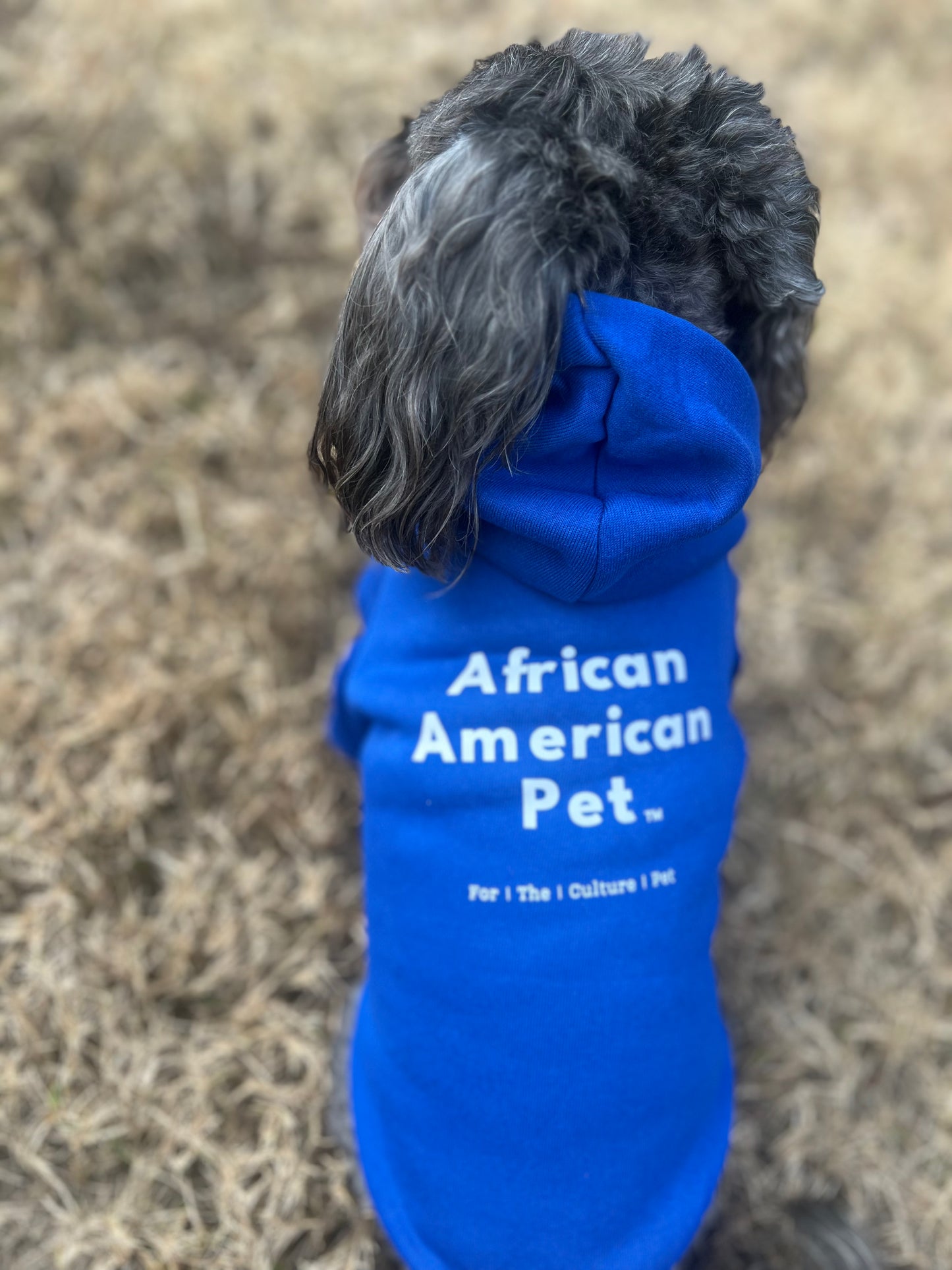 African American Pet Sweatshirt