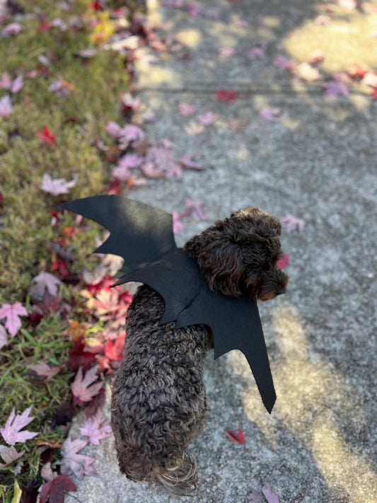 Halloween Bat Wings