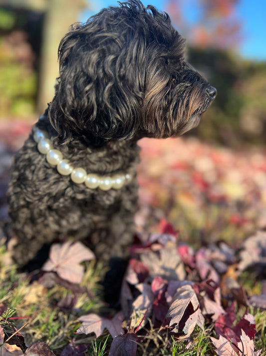 Big Pearls Necklace Collar