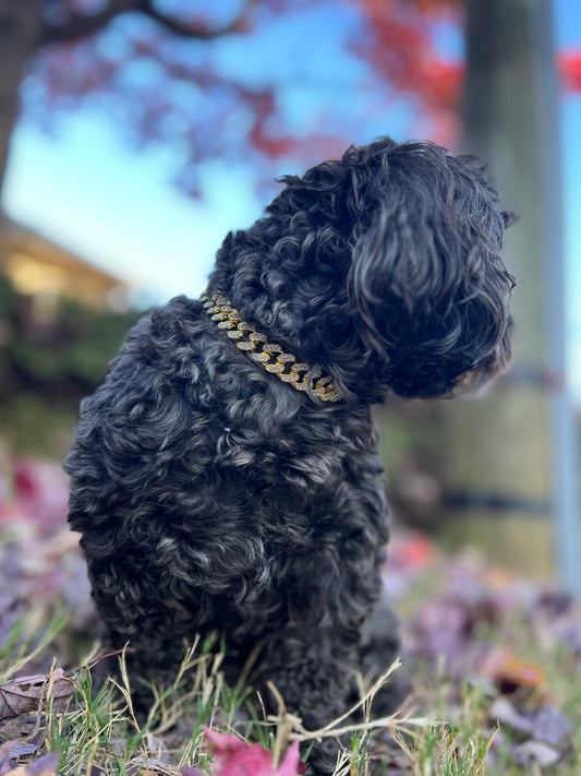 Silver Diamond Cuban Link Collar