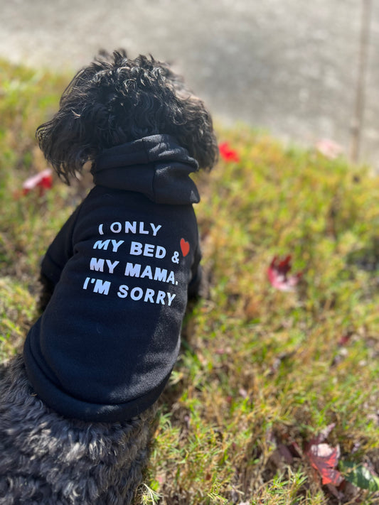 I Only Love My Bed & My Momma, I’m Sorry Sweatshirt