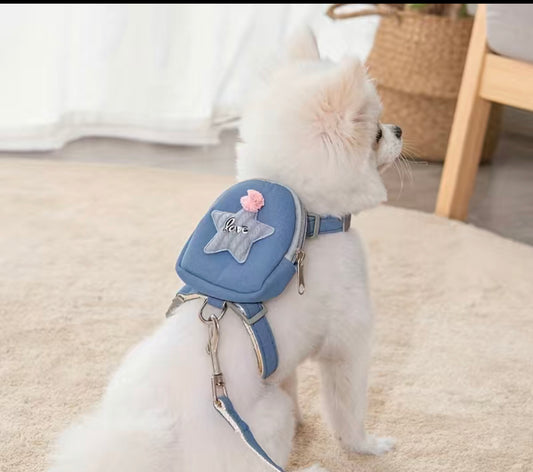 Small Pet Back Pack Harness + Leash