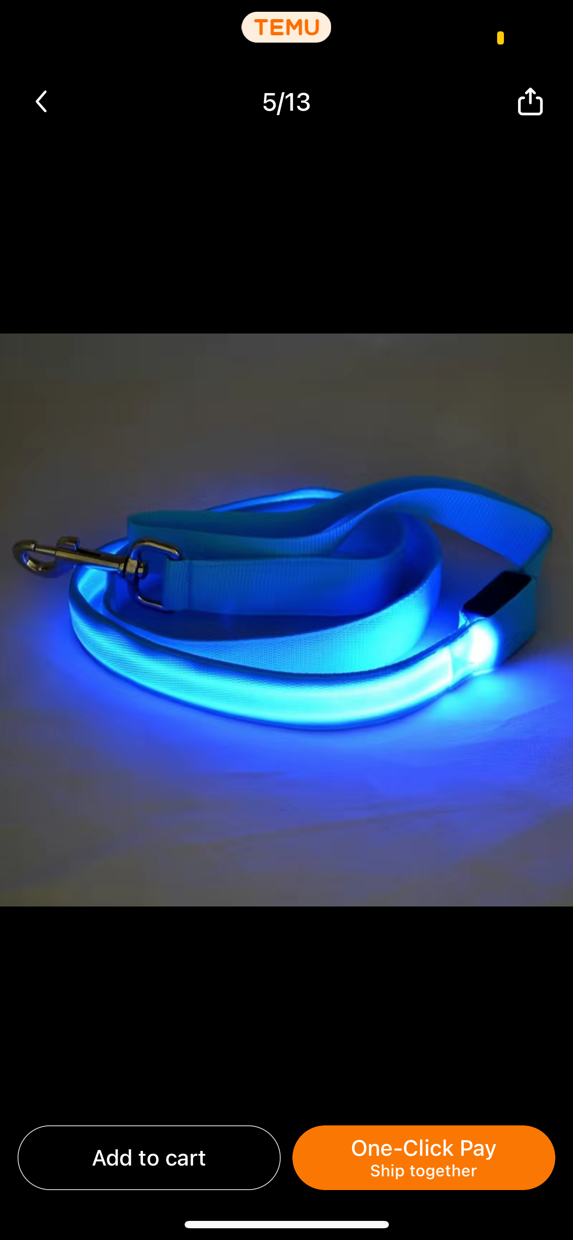 Glow in the Dark Leash + Collar